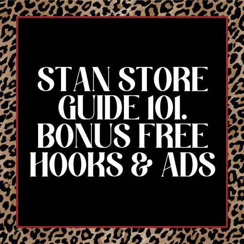 Stan Store Guide 101 - with BONUS FREE Hooks & Ads - Digital Download